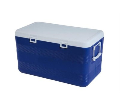 Koelbox 110 liter (1).jpg