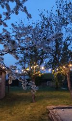 Lichtguirlande warm wit licht 20 meter (2).jpeg