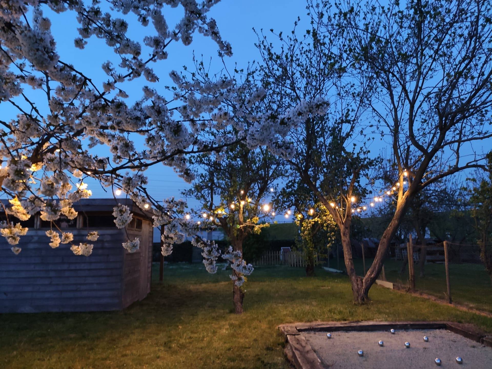 Lichtguirlande warm wit licht 20 meter (2).jpeg