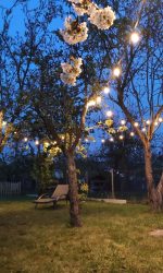 Lichtguirlande warm wit licht 20 meter (3).jpeg