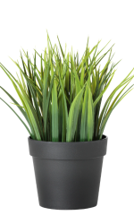 Miniplant (1).png