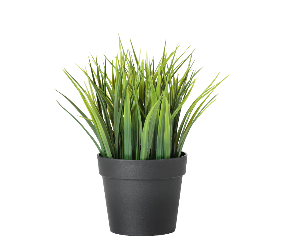 Miniplant (1).png