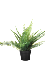 Miniplant (2).png