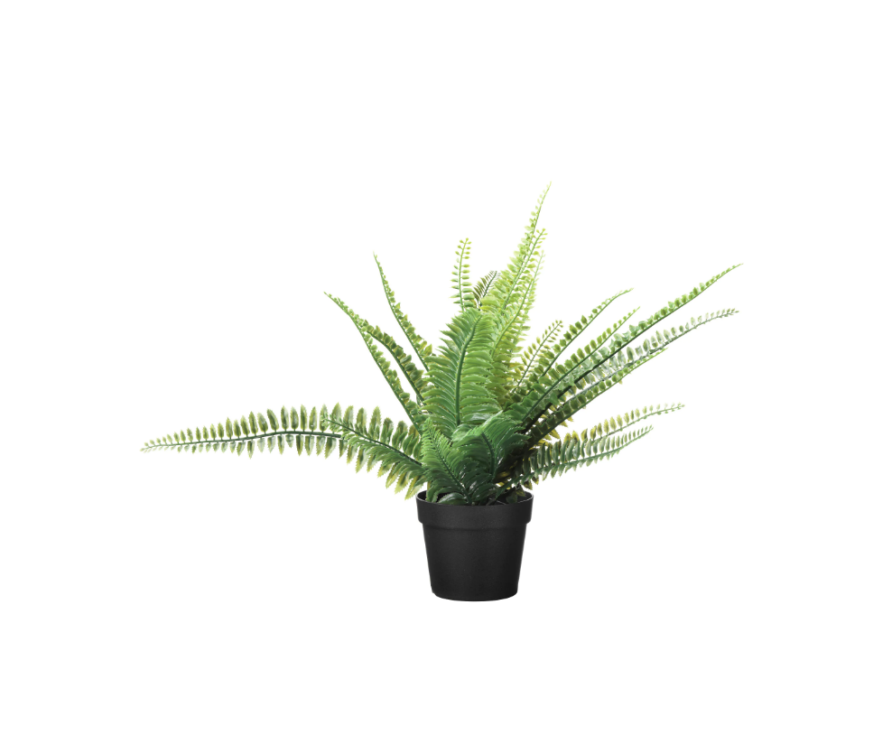 Miniplant (2).png