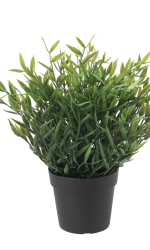 Miniplant (4).png