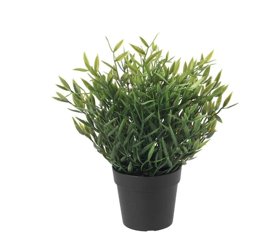 Miniplant (4).png