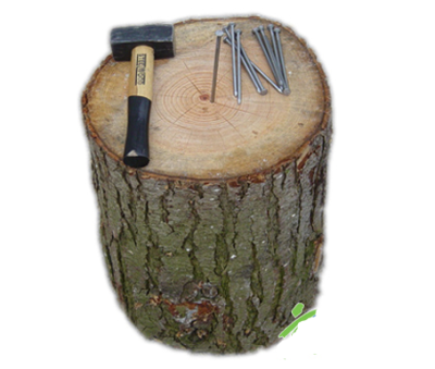Nagelen set (1).png