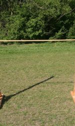 Reuze limbo (3).jpeg