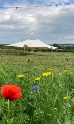 Stretchtent 10×12,5m (3).jpg