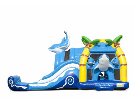 Dolfijn springkasteel (1).jpg