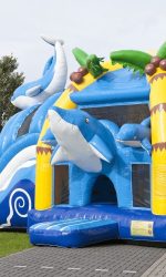 Dolfijn springkasteel (2).jpg