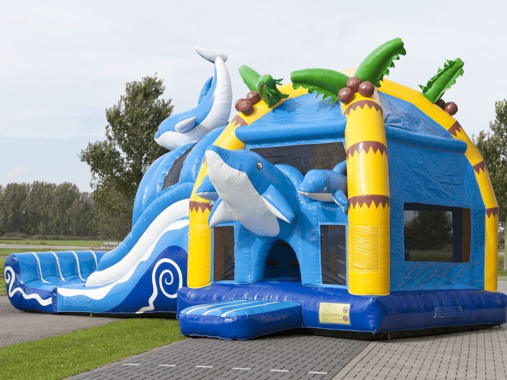 Dolfijn springkasteel (2).jpg