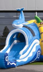 Dolfijn springkasteel (3).jpg