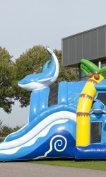 Dolfijn springkasteel (5).jpg