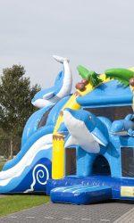 Dolfijn springkasteel (6).jpg