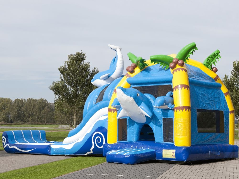 Dolfijn springkasteel (6).jpg